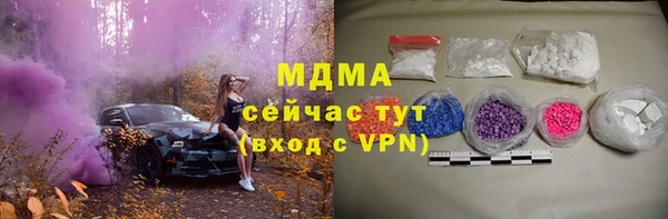 сатива Козловка