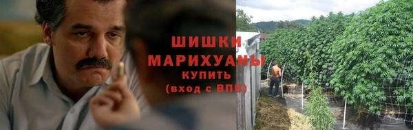 сатива Козловка