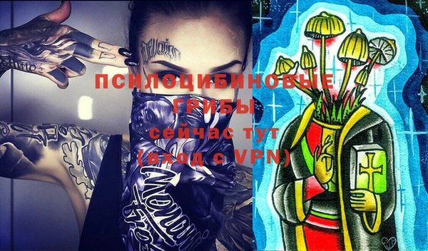 сатива Козловка