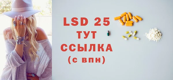 сатива Козловка