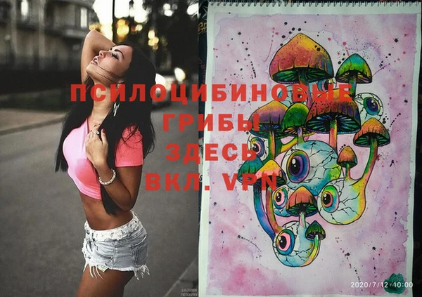 сатива Козловка