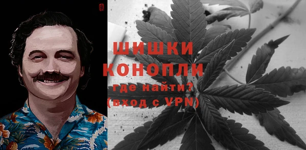 трава Кодинск