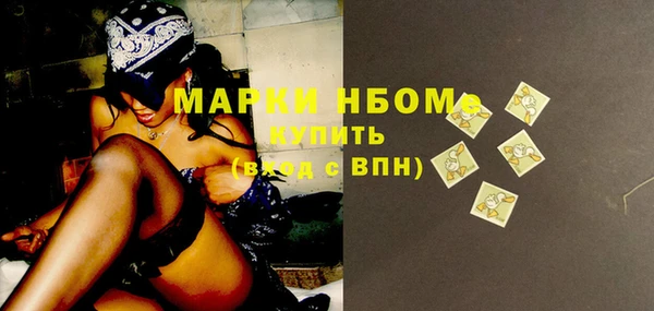 сатива Козловка