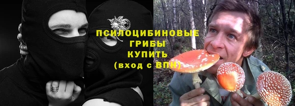 трава Кодинск