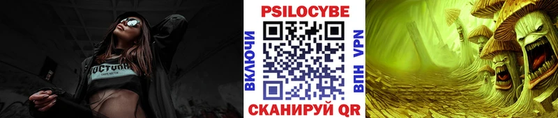 цены наркотик  Козловка  Галлюциногенные грибы Psilocybe 